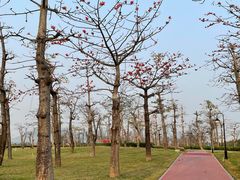 -芒洲湿地公园