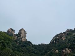 -大岭沟猕猴桃谷风景区