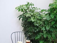 -PANYA(东湖店)