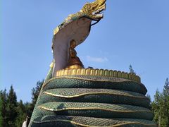 -洛阳白马寺