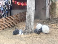 -董永七仙女文化园