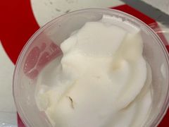 -洪馨椰子