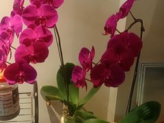 -逸栈养生SPA(望京店)