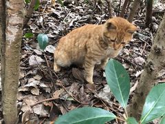 -浙江万里学院(钱湖校区)