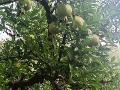 -人民广场-地下停车场