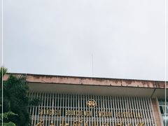 -广西壮族自治区博物馆