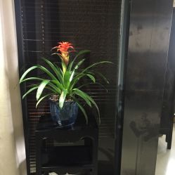 -Face Score美甲美睫皮肤管理