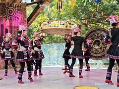 -西双版纳原始森林公园