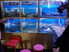 水产区-泮金大塘(北二七路店)
