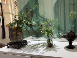 -薇薇安花系SPA
