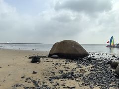 -东疆理想海岸沙滩景区