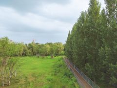 -白鹭湾湿地公园