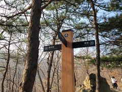 -北京鹫峰国家森林公园