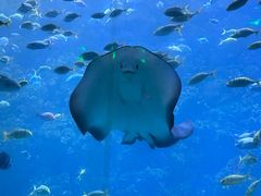 -海合安青岛极地海洋公园