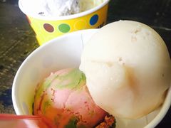 -莓园冰淇淋店