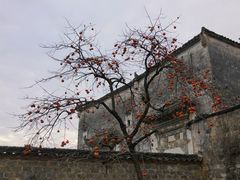 -黟县屏山村