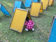 -大象粑粑造纸公园