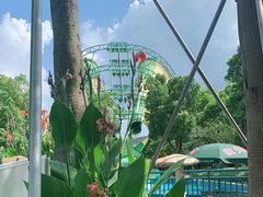 -苏州乐园森林水世界