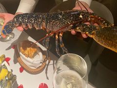 -Oyster Talks 四度蚝法餐厅