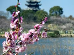 -上海海湾国家森林公园