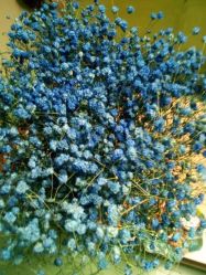 -净妍美肌专业净毛嫩肤连锁机构