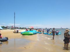 -碧海金沙