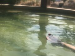 -仁爱团泊湖温泉中心