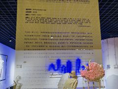 -金茂览秀城