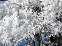 -庐山风景名胜区