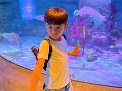 -沈阳海洋探索中心