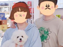 -翊宠yipet猫狗购宠庄园犬舍•猫舍