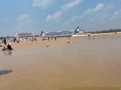 -日照海滨国家森林公园