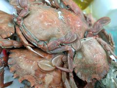 -聚德福海鲜家常菜(刘庄店)