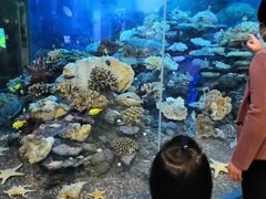 -浙江省科技馆