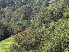 -敬亭山风景名胜区