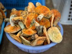 -云南木水花野生菌交易中心