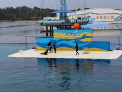 -秦皇岛乐岛海洋王国