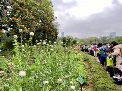 -广西壮族自治区药用植物园