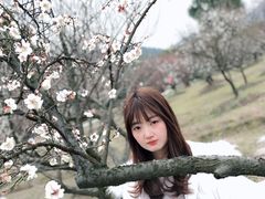 -香雪海
