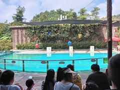 -贵州森林野生动物园