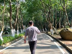 -火炉山森林公园