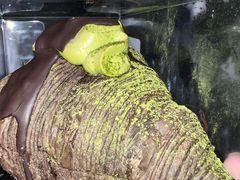 -HOT CRUSH趁热集合·现烤面包(环球港店)