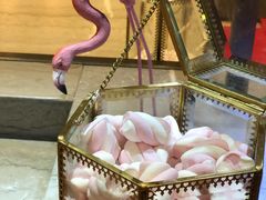 -新发展亚太JW万豪酒店·福苑咖啡厅