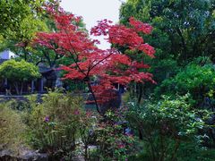 -天一阁博物院