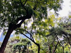 -元大都城垣遗址公园