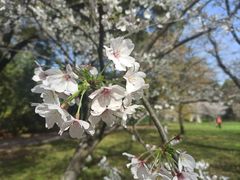 -共青国家森林公园-售票处