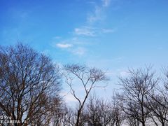 -白塘生态植物园