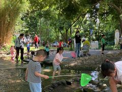 -成都市活水公园