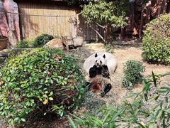 -常州淹城野生动物世界