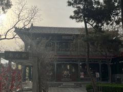 -莲池书院博物馆